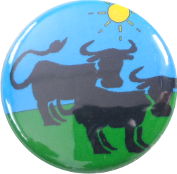 Kühe button grün-blau - zum Schließen ins Bild klicken